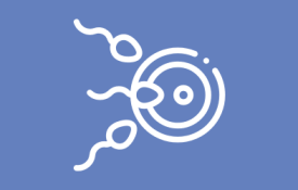 curso-nutricao-e-fertilidade